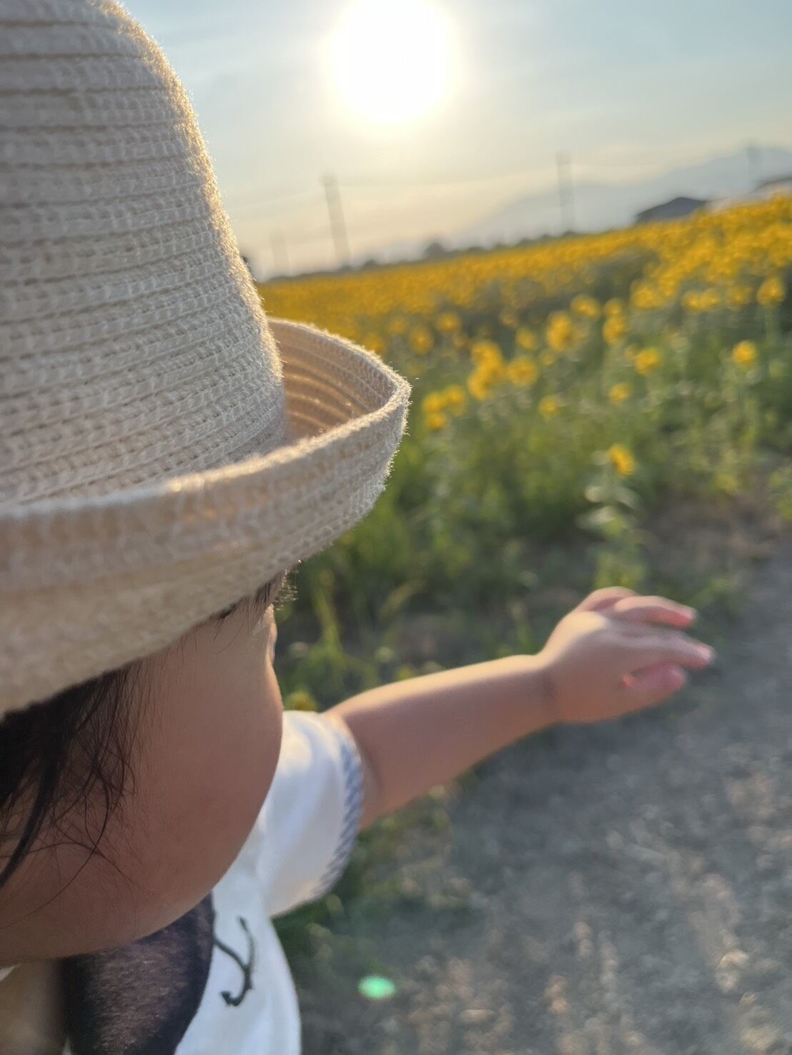 ひょうたん島公園のひまわり畑で元気チャージしてきました！